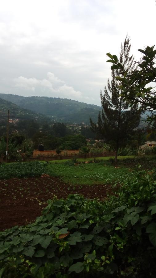 White Horse Inn Kabale Esterno foto